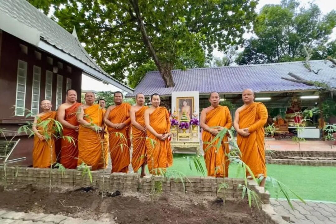 วัดศาลาลอย พระอารามหลวง จังหวัดนครราชสีมาปลูก“ไผ่นวลราชินี” ภายในบริเวณวัดเนื่องในโอกาสมหามงคลเฉลิมพระชนมพรรษา 47 พรรษา ของสมเด็จพระนางเจ้าฯ พระบรมราชินี