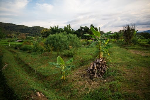 Ban Pam Bok Festival – Pai, Mae Hong Son